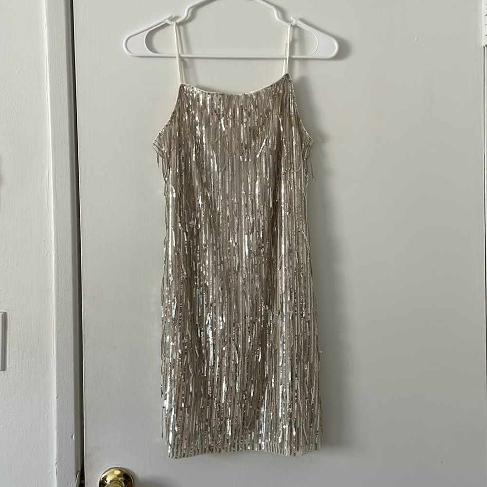 Silver sequin tassel mini dress